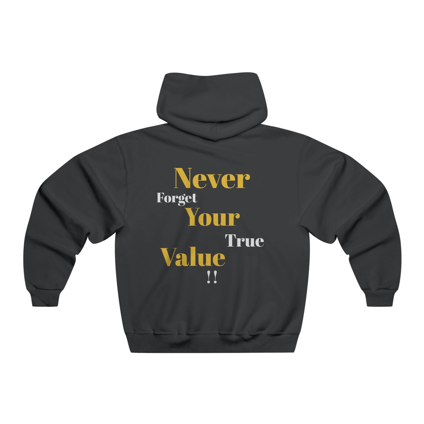 Your Worth Is Invaluable Sweatshirt, Inspirational Hooded Sweatshirt , Gift for him, Positivity Hoodie, Gift for her, Comfort Colors, Winter Apparel